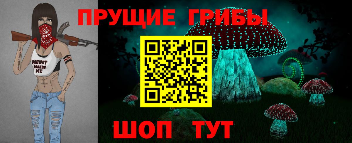 где купить   Галлюциногенные грибы Psilocybine cubensis  Вход с VPN  Кемерово 
